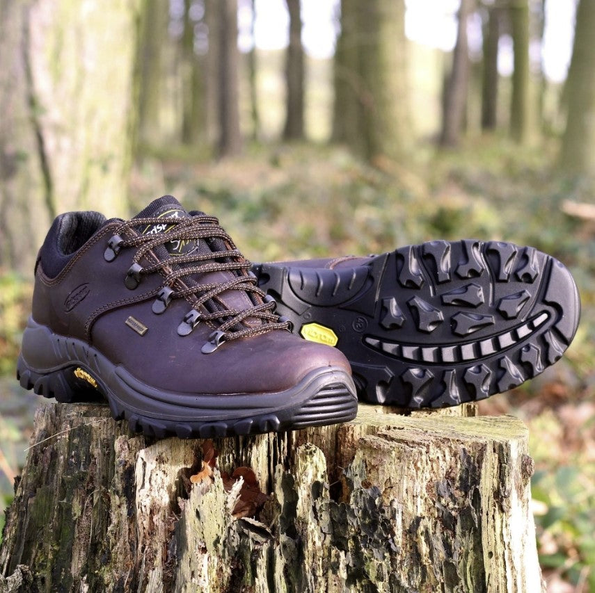 Dartmoor Brown Walking Shoe