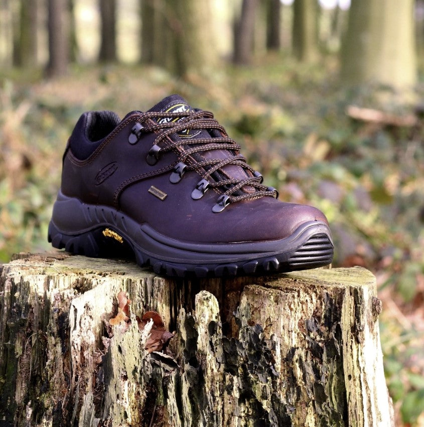 Dartmoor Brown Walking Shoe