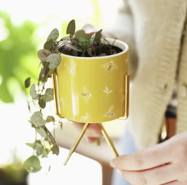 Mini Bee Planter